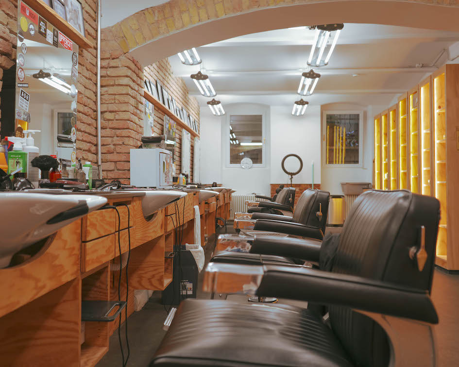 A closer look at Nomad Cite Dog Grooming Acts